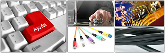 Servicios